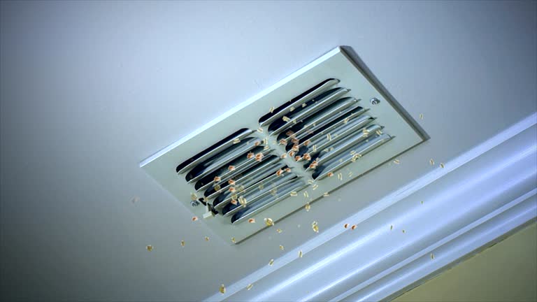 Best Duct Cleaning for Offices  in Swartz, LA
