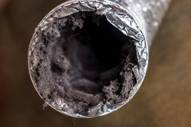 Best Professional Duct Cleaning Services  in Swartz, LA