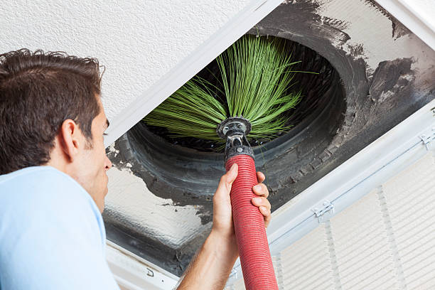 Best Home Air Vent Cleaning  in Swartz, LA